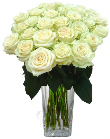 Kytice bílých růží - Růže bílé