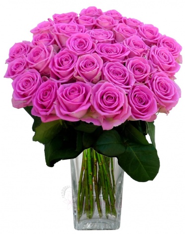 Bouquet of pink roses - Pink roses