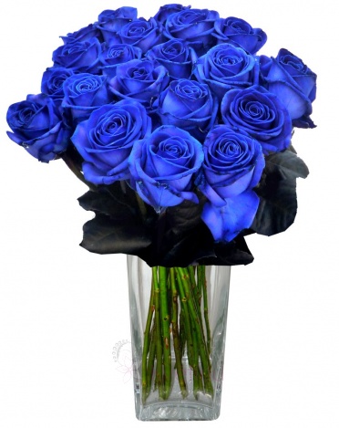 Bouquet of blue roses - Blue roses