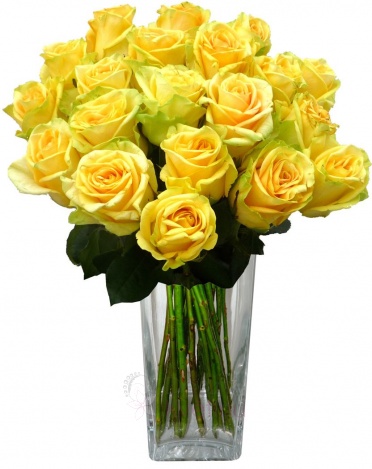 Kytice žlutých růží - žluté růže