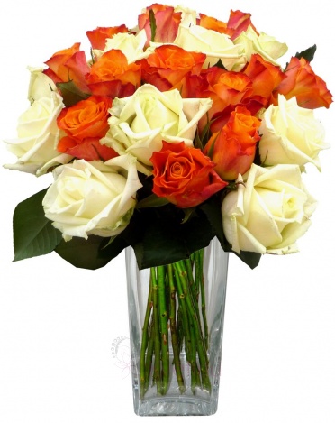 Kytice růží - mix (oranžové, bílé) - Růže oranžové, bílé