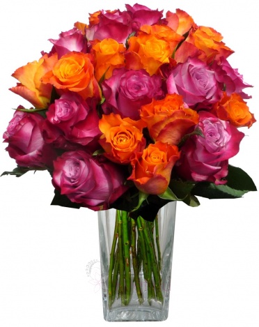 Kytice růží - mix (purpurové, oranžové) - Růže purpurové, oranžové