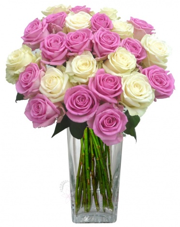 Kytice růží - mix (růžové, bílé) - Růže růžové, bílé