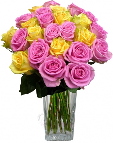 Kytice růží - mix (růžové, žluté) - Růže růžové, žluté