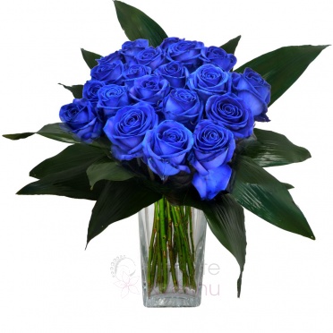 Kytice modrých růží + zeleň - Růže modré, zeleň