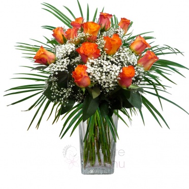 Kytice oranžových růží + zeleň, gypsophila - Růže oranžové, gypsophila, zeleň