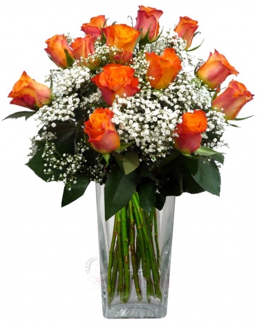 Bouquet of orange roses + gypsophila - Orange roses, gypsophila