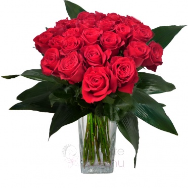Bouquet of red roses + greenery - Red roses, greenery