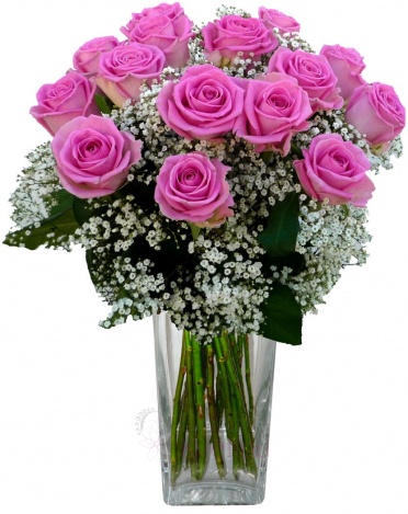 Bouquet of pink roses + gypsophila - Pink roses, gypsophila
