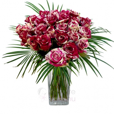 букет из роз арлекин + зелень - Harlequin roses, greenery