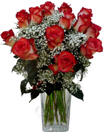 Bouquet of streaked roses + gypsophila - Streaked roses, gypsophila