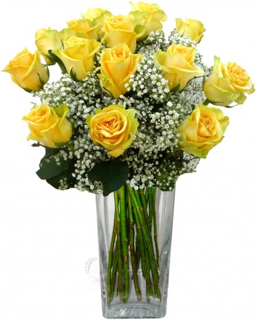 Kytice žlutých růží + gypsophila - Růže žlutá, gypsophila