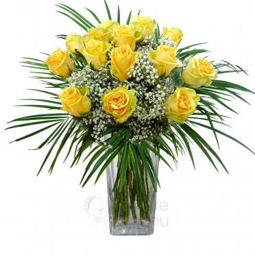 Kytice žlutých růží + zeleň, gypsophila - Růže žlutá, zeleň, gypsophila