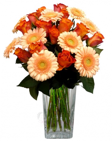 Mixed bouquet of roses and gerberas - Orange roses, gerberas