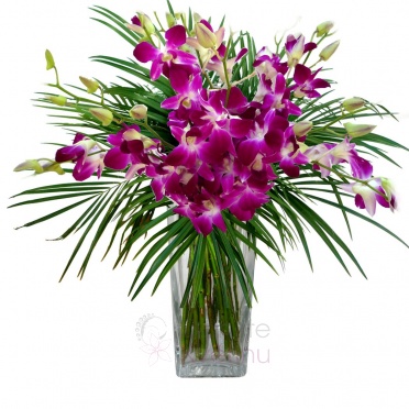 Bouquet of denrobias + greenery - Dendrobium, greenery