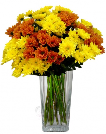 Bouquet of orange and yellow chrysanthemums - Orange, yellow chrysanthemum