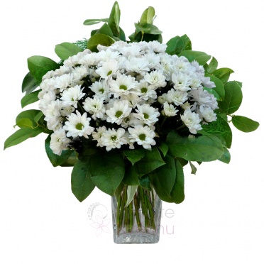Bouquet of white chrysanthemums + greenery - White chrysanthemum, greenery