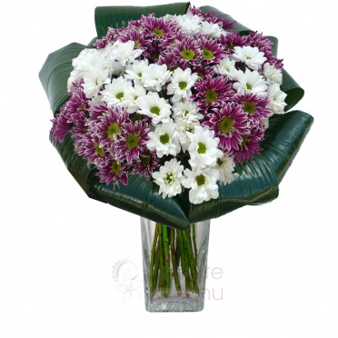 Букет из белых и фиолетовых хризантем, зелень - White, streaked chrysanthemums, greenery