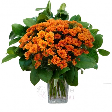 Bouquet of orange chrysanthemums + greenery - Orange chrysanthemum, greenery