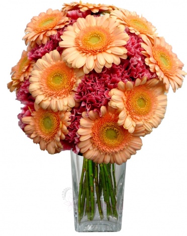 Mixed bouquet of carnations and gerberas - carnation, gerbera