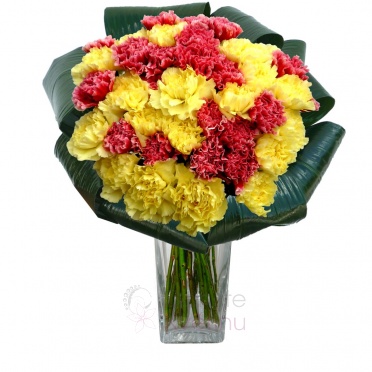 букет из гвоздик (красный, желтый, зелень) - red, yellow carnations, greenery