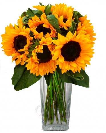 букет из подсолнухов - Sunflower