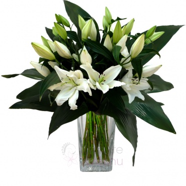 Bouquet of Lillies SG, greenery - Lillies SG, greenery