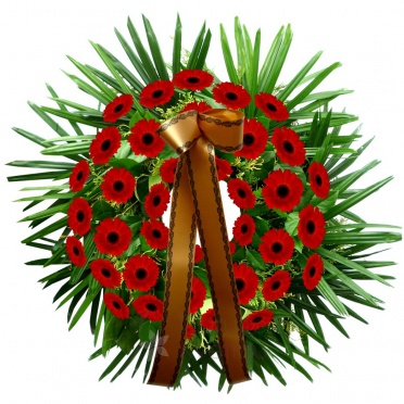 Funeral wreath - red gerberas - wreath (red gerberas)