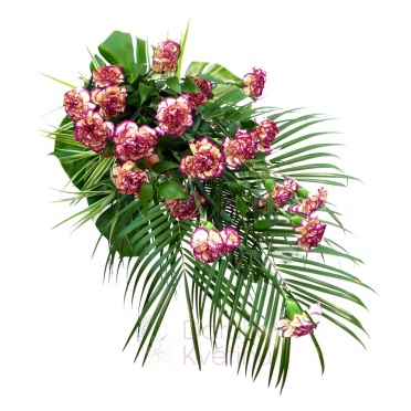 funeral spray - streaked carnations, greenery - streaked carnation