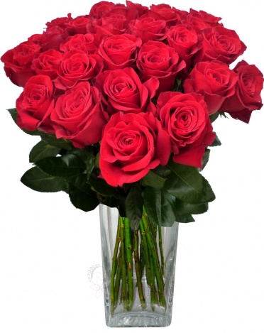 Rozvoz květin - růže - Kytice červených růží