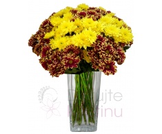 Bouquet of yellow and streaked chrysanthemums