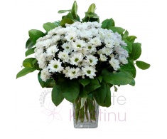 Bouquet of white chrysanthemums + greenery