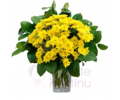 Bouquet of yellow chrysanthemums + greenery