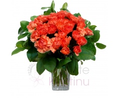 Bouquet of orange carnations + greenery