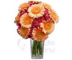 Mixed bouquet of carnations and gerberas