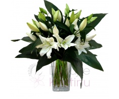 Bouquet of Lillies SG, greenery