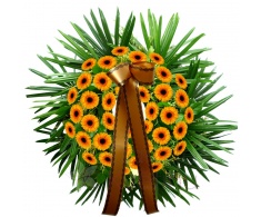 Funeral wreath - yellow gerberas