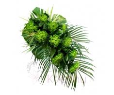 funeral spray - green chrysanthemum (1 piece), greenery