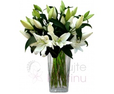 Kytice bílých lilií SG